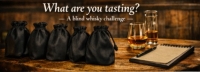 Whisky Club 5 - What Are You Tasting?